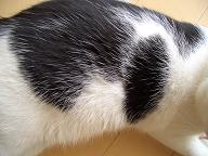 img20070622_7.jpg