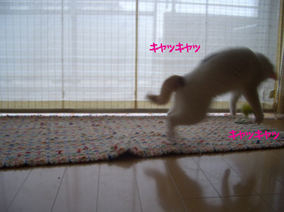 img20080129.jpg