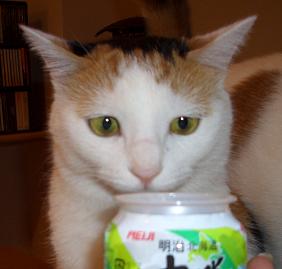 img20070628_1.jpg