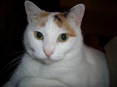 img20070622_7.jpg