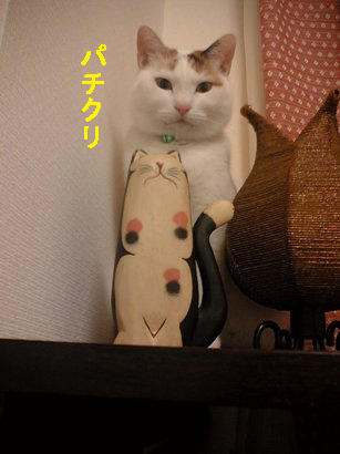 img20071228.jpg