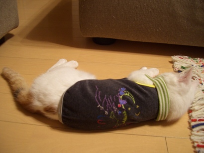 img20071129_1.jpg