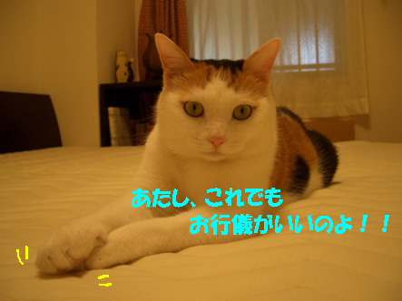 img20071019_5.jpg