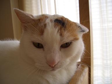 cimg0876.jpg