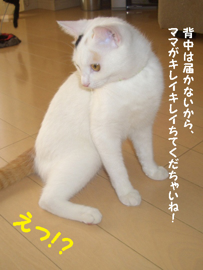 img20080130_9.jpg