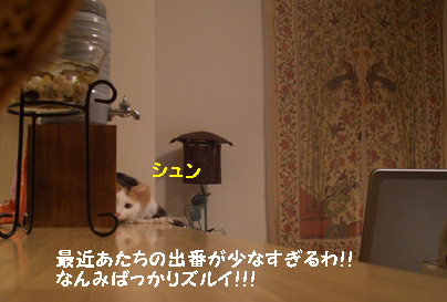img20080117.jpg