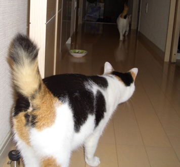 img20070928_1.jpg