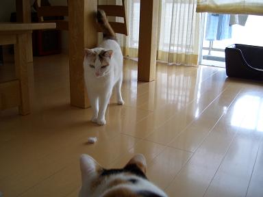 img20070619.jpg