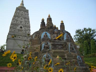 gaya