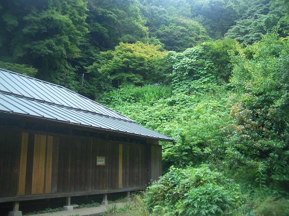 place01.jpg