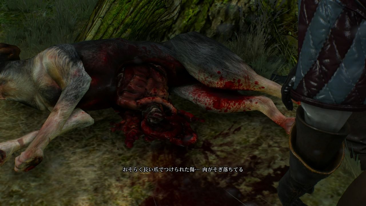 ウィッチャー3 ワイルドハント_20150523205635