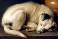 Gerrit Dou, Sleeping Dog 1650