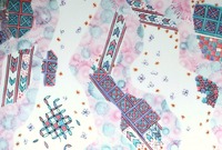 zz-2C8T1671