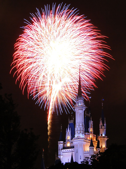Disney Magic in the Sky