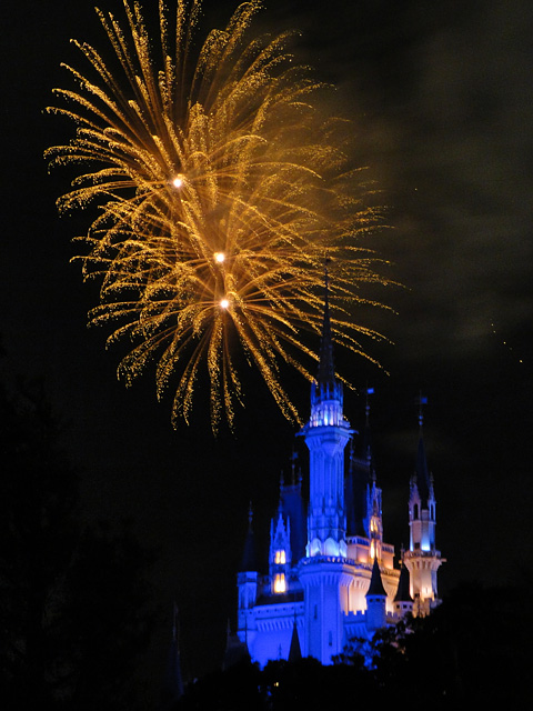 Disney Magic in the Sky