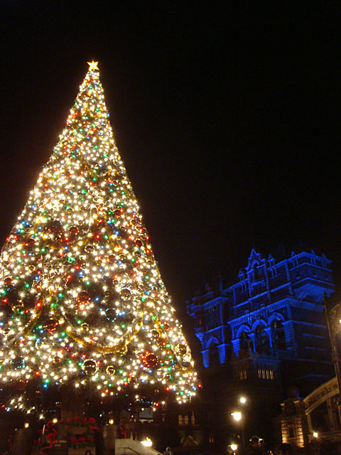 Christmas Tree at Tokyo DisneySea