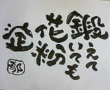 20050228140658.jpg