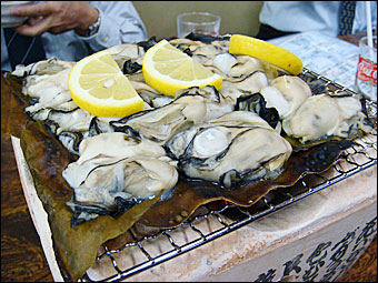 Oyster