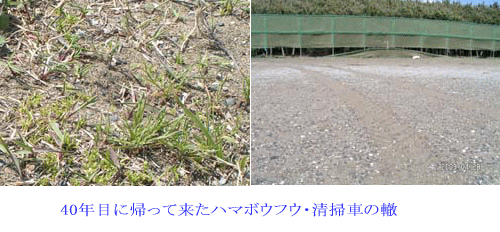 500x232unagi11