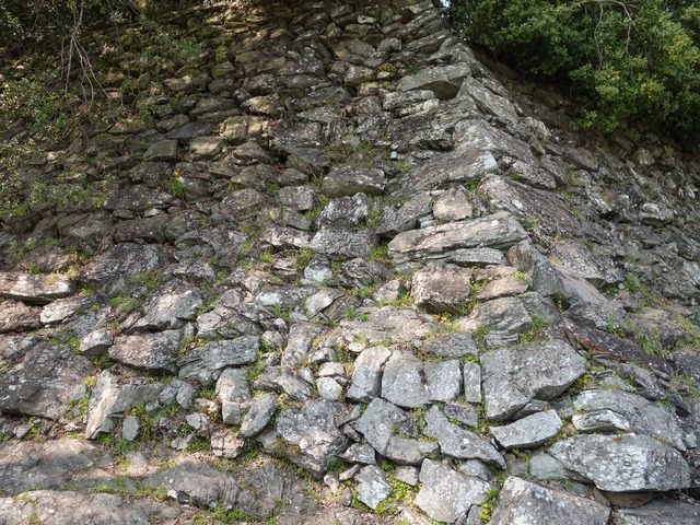 松の丸跡の石垣(野面積み) 1_edit