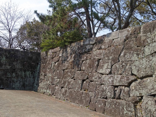 一中門跡の石垣(打込みハギ) 2_edit