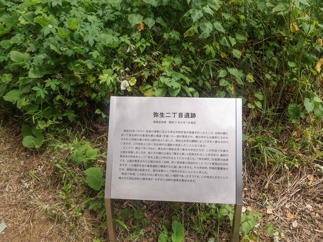 弥生二丁目遺跡 2_edit