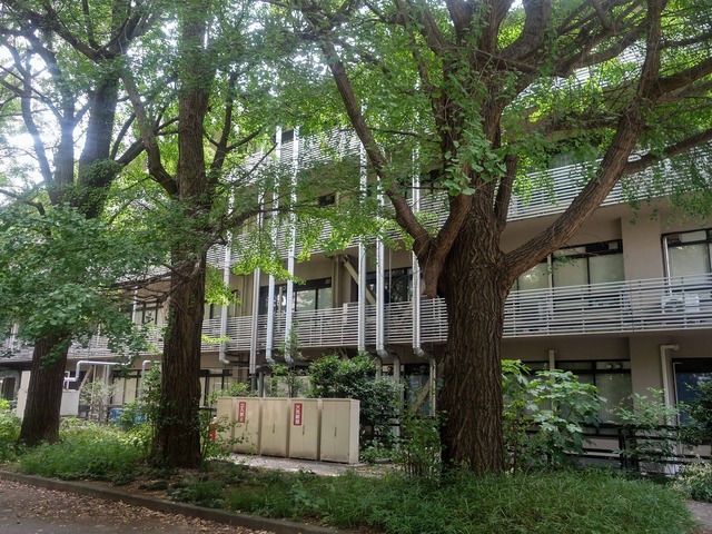 理学部3号館 7_edit