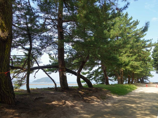 舞鶴海浜公園 1_edit