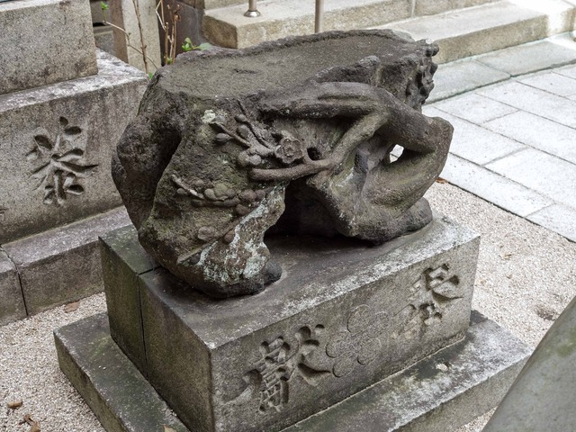DSC03270_edit