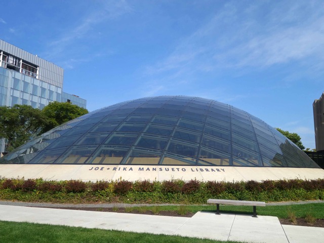 Joe and Rika Mansueto Library 6_edit