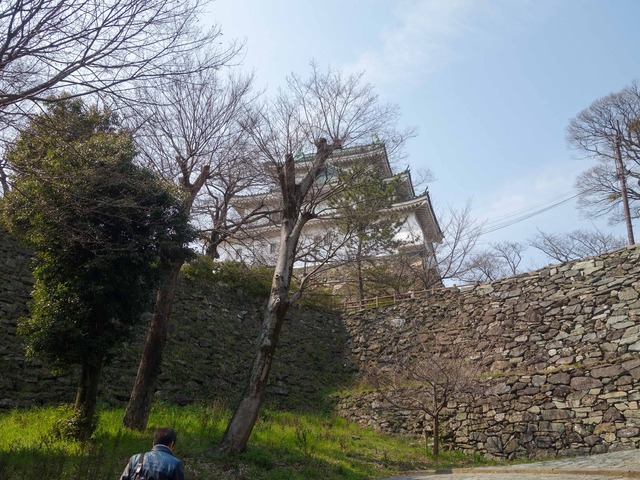 松の丸跡から天守閣を望む 1_edit