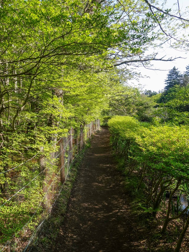 遊歩道 4_edit
