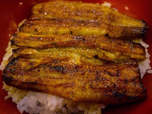 うなぎ丼(大) 1_edit
