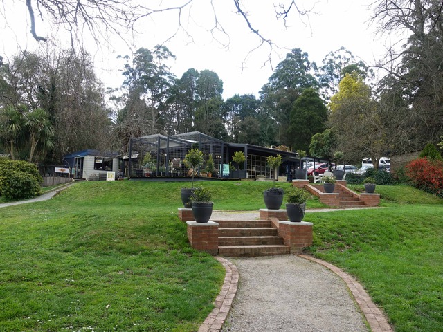 Olinda-Monbulk Rd 22_edit
