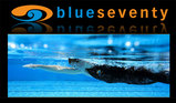 blue01