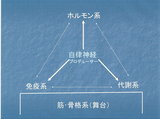 ¥¹¥¥ã¥ó0003