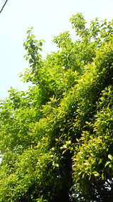 c655ab07.jpg