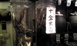 DCME_00013080729_213200