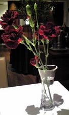 DCME_00024081217_194923