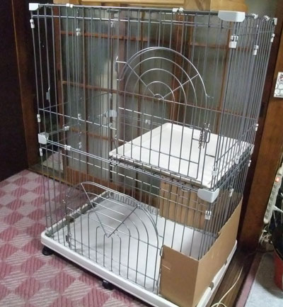 ケージ