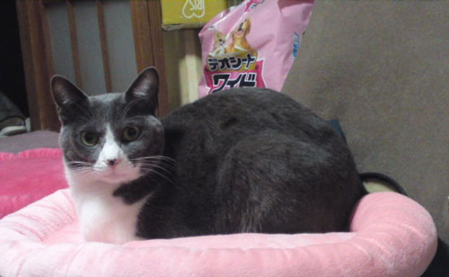 マーキング2