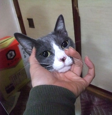 感動の再会