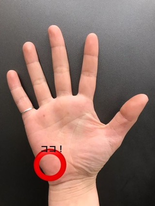 ¼ê¤Î¤Ò¤é