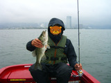 BlogPaint