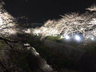 IMG_4784