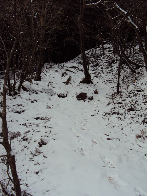 DSC01152