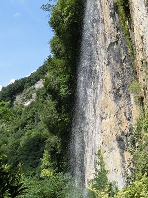 CIMG0509