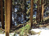 DSC00096
