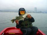 BlogPaint