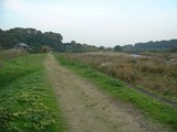 DSCF0025_rs